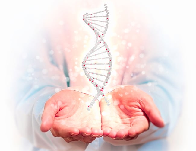 Functional Pathology Testing Functional Pathology Testing