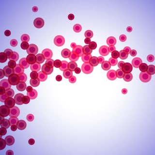 Live Blood Analysis Live Blood Analysis