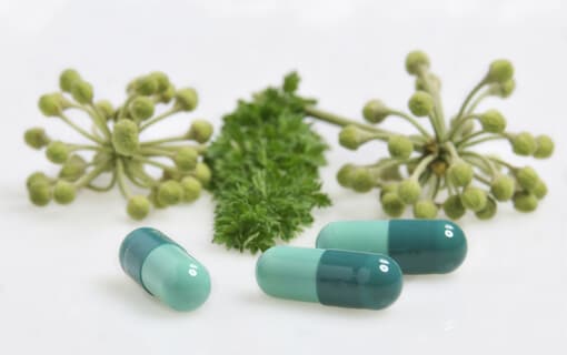 Supplements Supplements