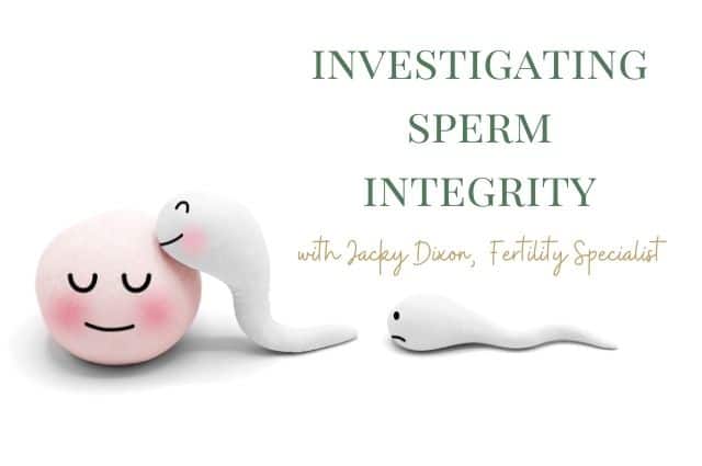 Investigating Sperm Integrity And How To Reduce DNA Fragmentation