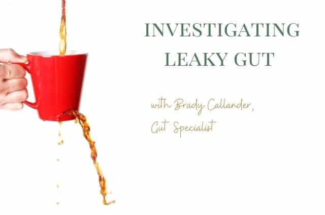 Investigating Leaky Gut