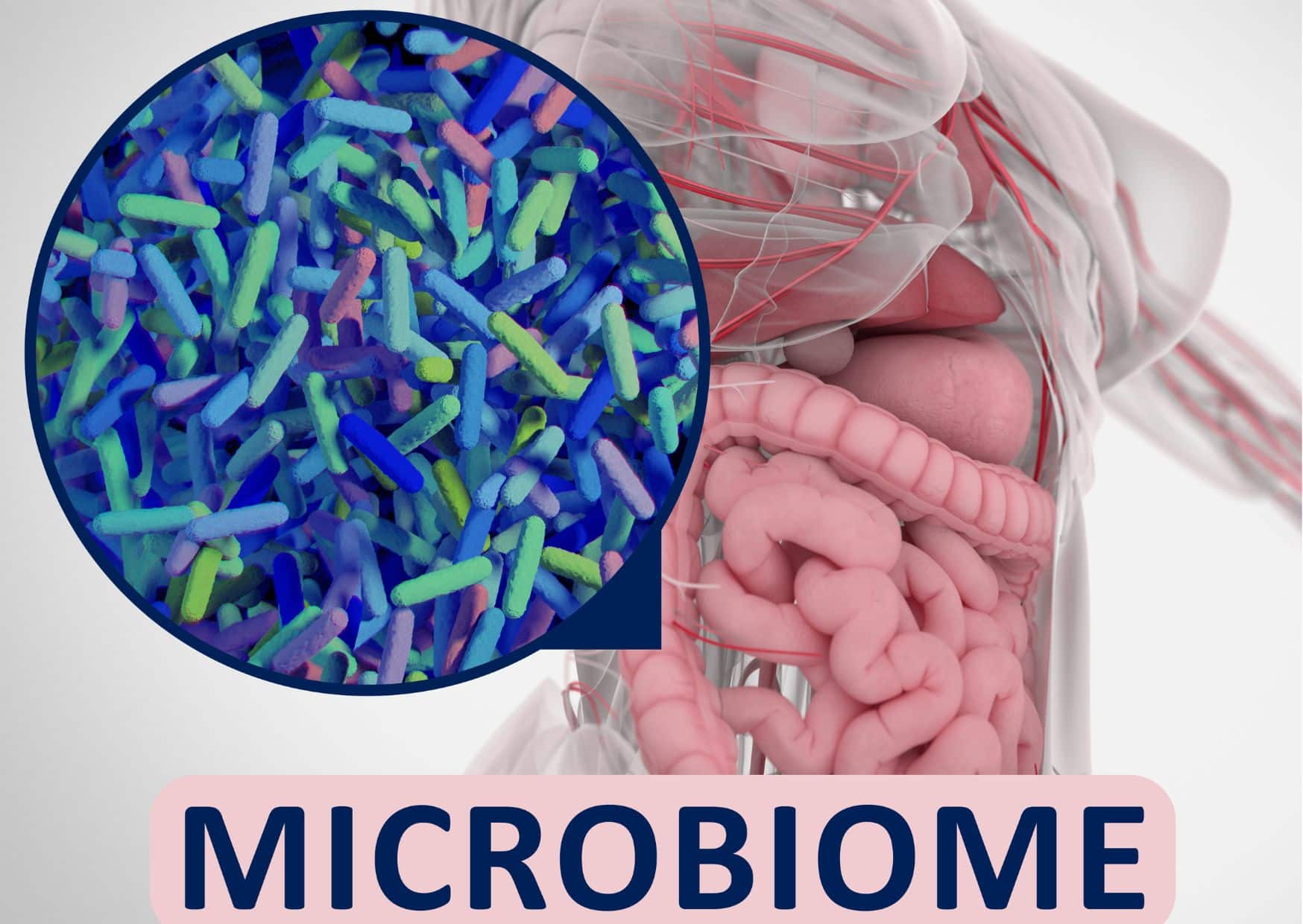 Microbiome health